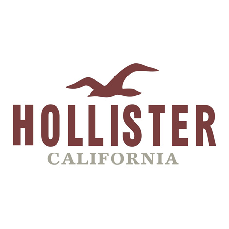 Hollister Co. at Eastview Mall