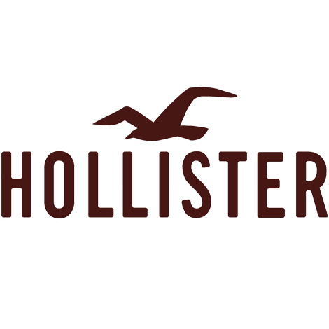 Hollister | Eastview Mall